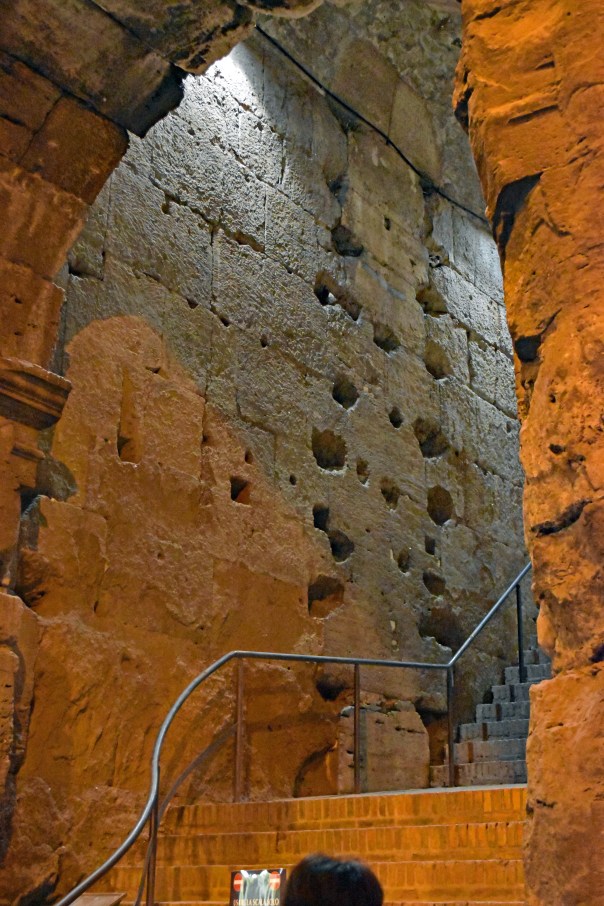 Image credit: Paul Kiser